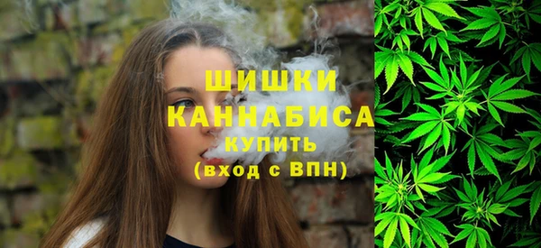 ПСИЛОЦИБИНОВЫЕ ГРИБЫ Михайловка