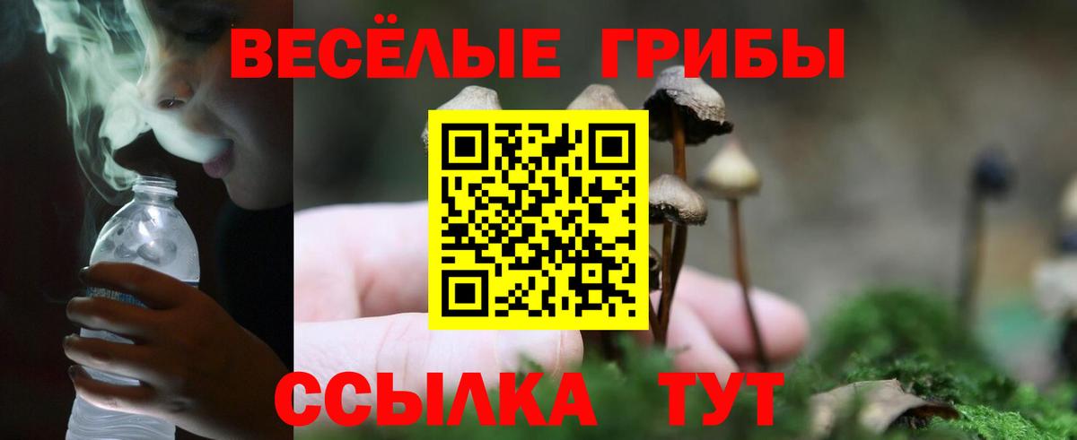 Галлюциногенные грибы Magic Shrooms Ялуторовск